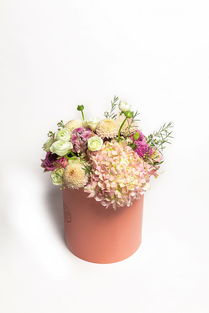 花卉攝影藝術 如何拍出令人心動的鮮花產品照