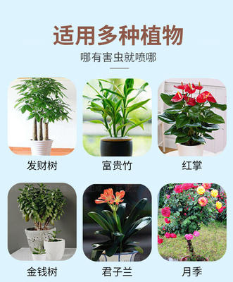 太陽能計算機軟件科技革新 家用綠植養(yǎng)護新選擇